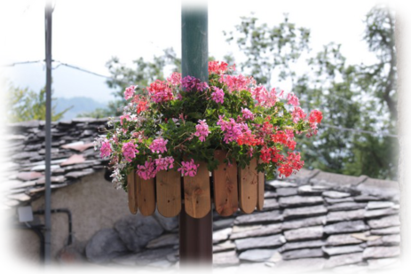 Frazione Fiorita 2012