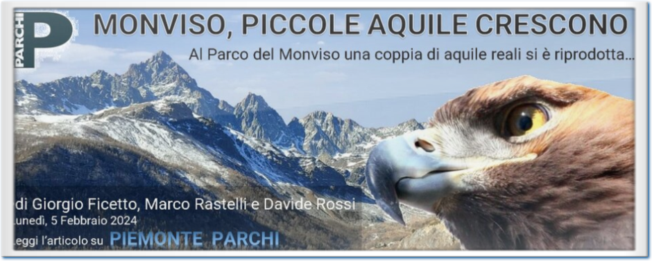 aquile in valle po serre